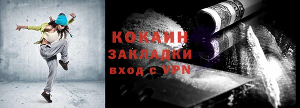 шишки Беломорск