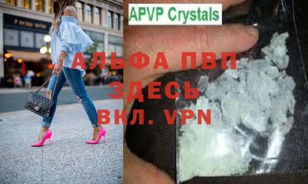 шишки Беломорск
