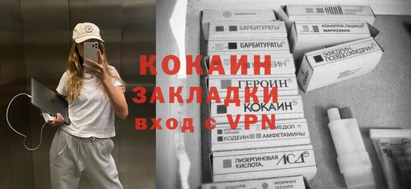 шишки Беломорск