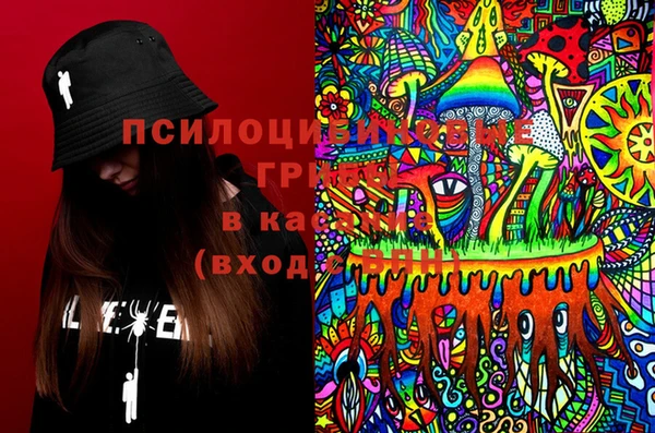 прущие крисы Михайловск